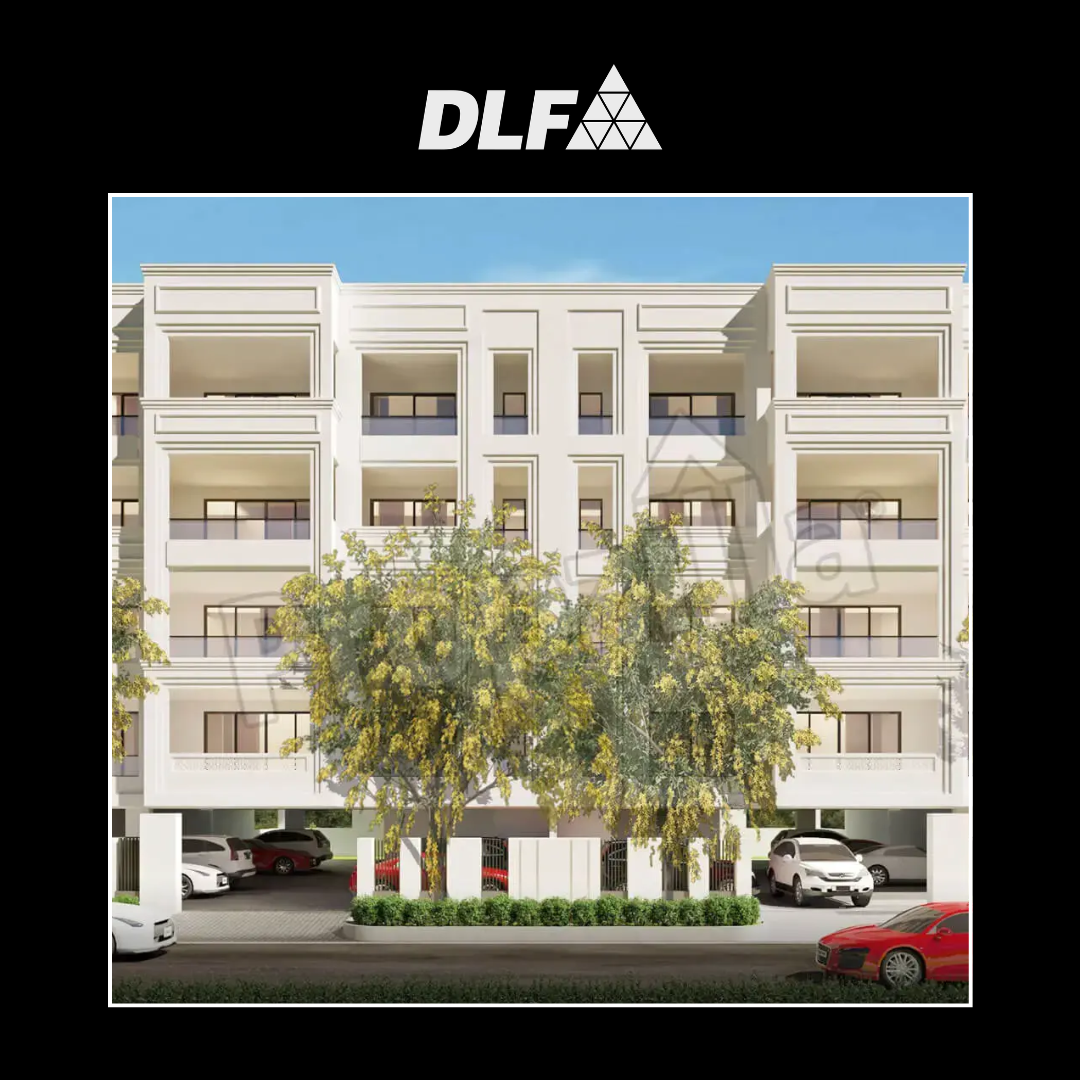 DLF The Grove, DLF Phase 5, Gurgaon